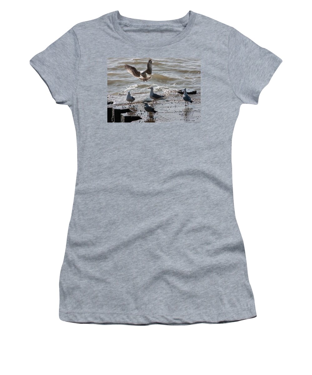 Pier Women's T-Shirt featuring the photograph The Gang no.1 by Static Wanderer