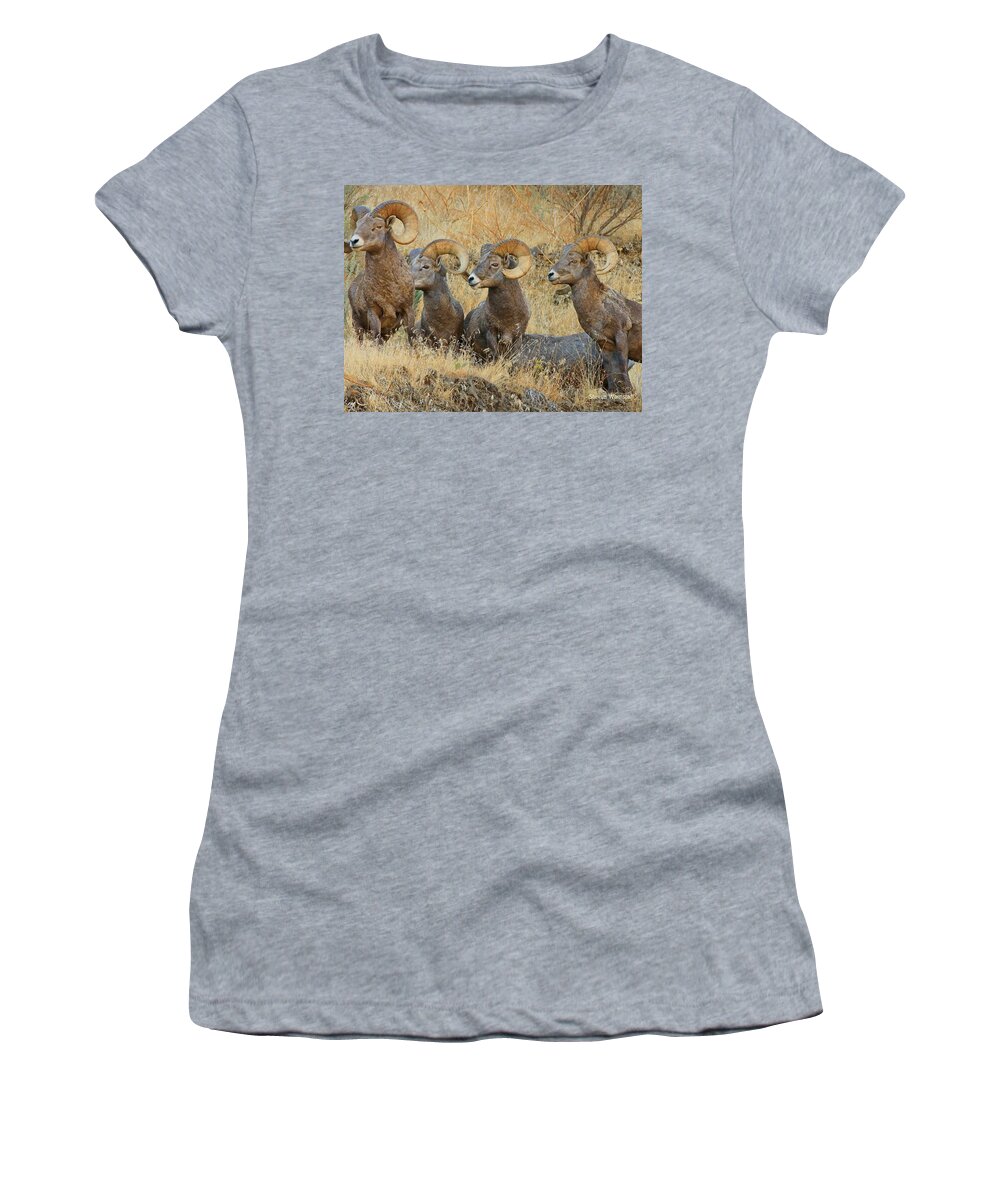 Landscape Women's T-Shirt featuring the photograph The Gang by Steve Warnstaff