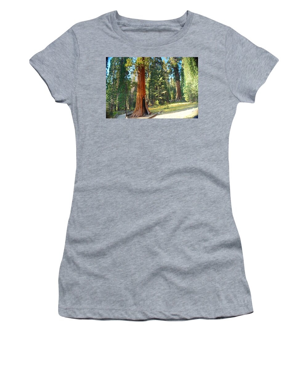 California Women's T-Shirt featuring the photograph The General by Beth Collins