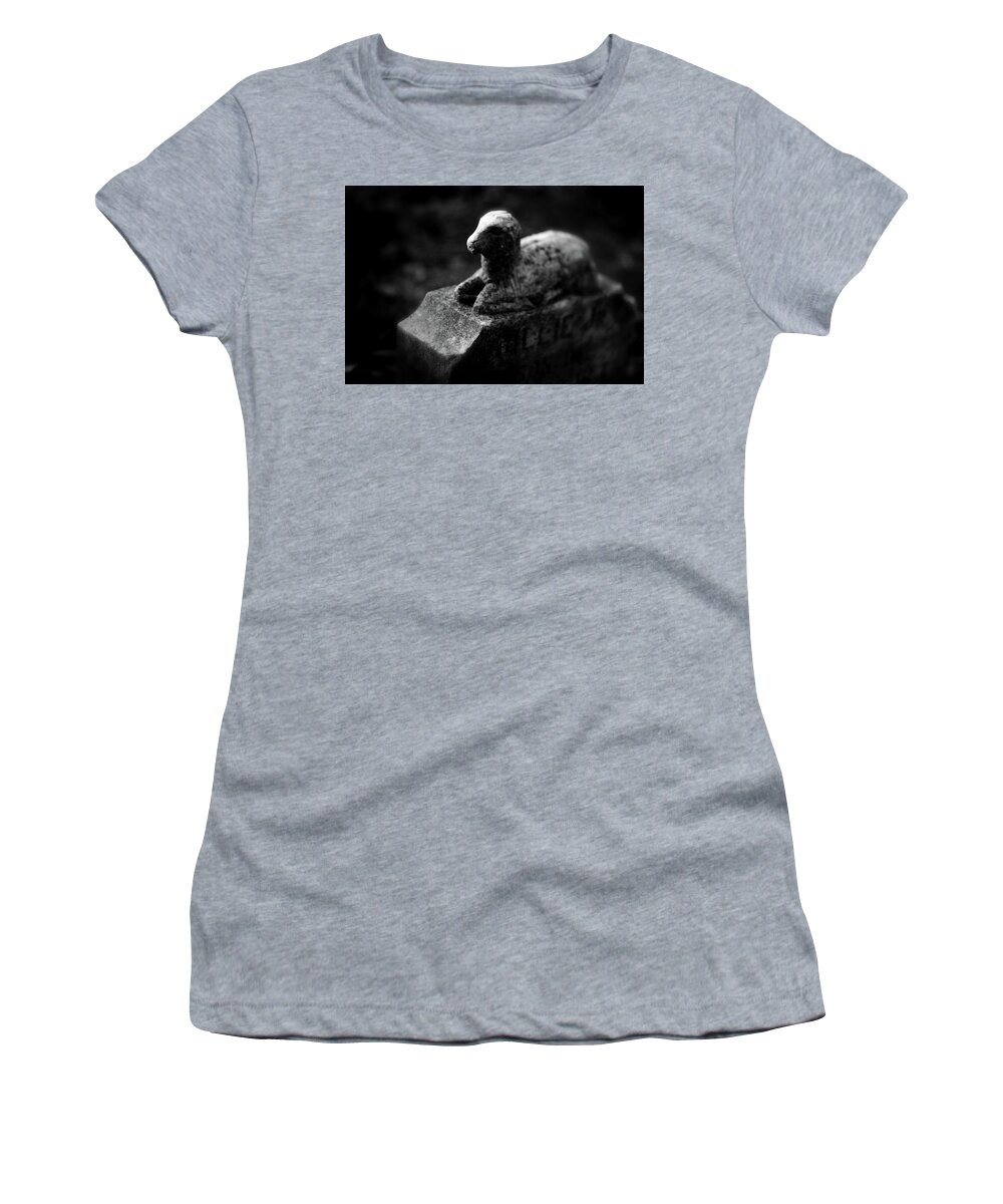 Lamb Women's T-Shirt featuring the photograph The Innocent by Stoney Lawrentz