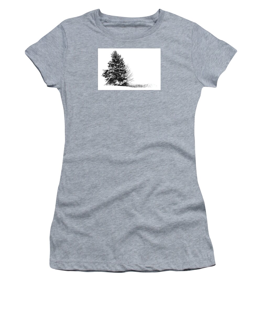 Door County Wisconsin Landscape Women's T-Shirt featuring the photograph The Lone Pine by Jim Rossol