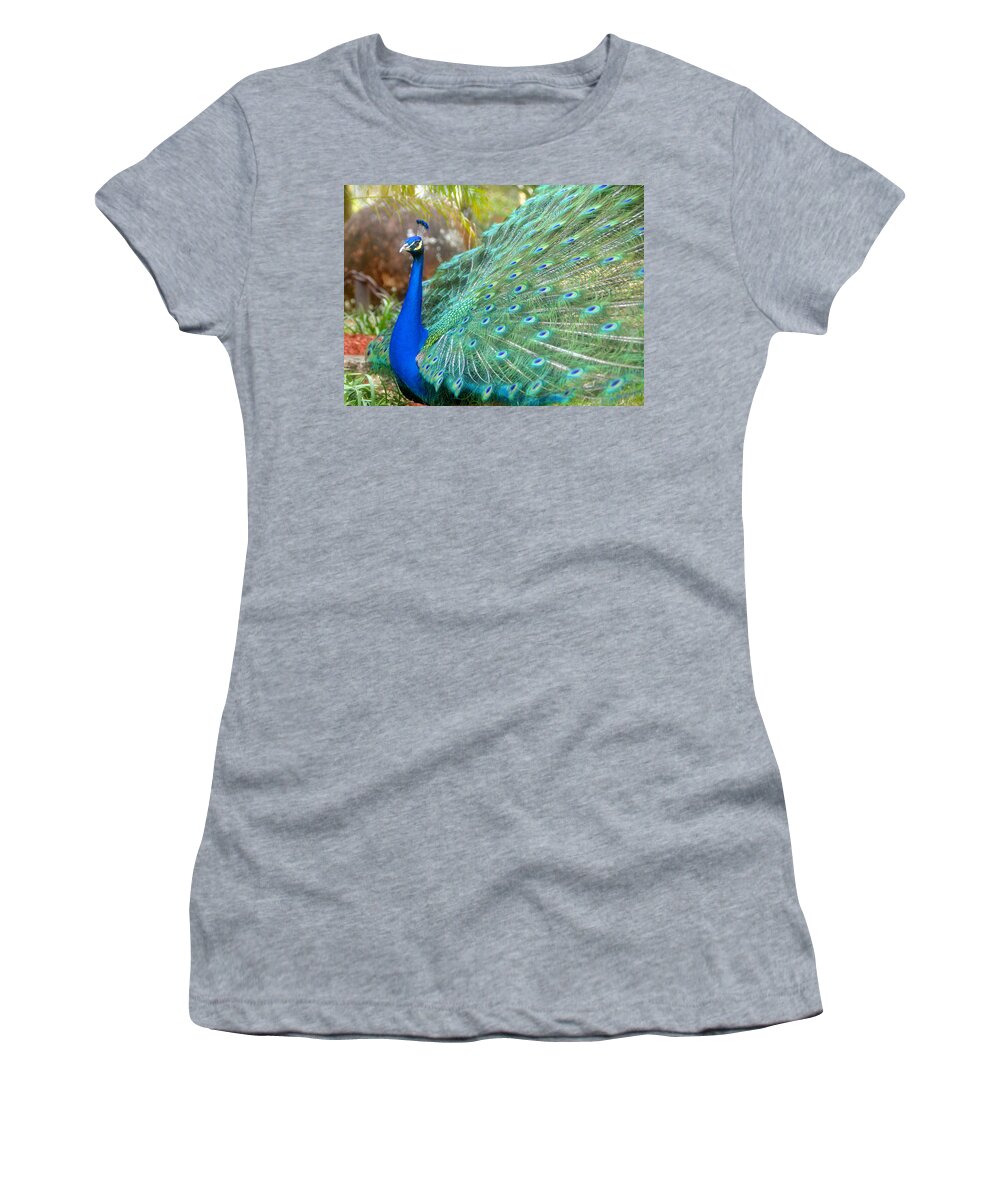 Peacock Women's T-Shirt featuring the photograph The Male Peacock by David Lee Thompson
