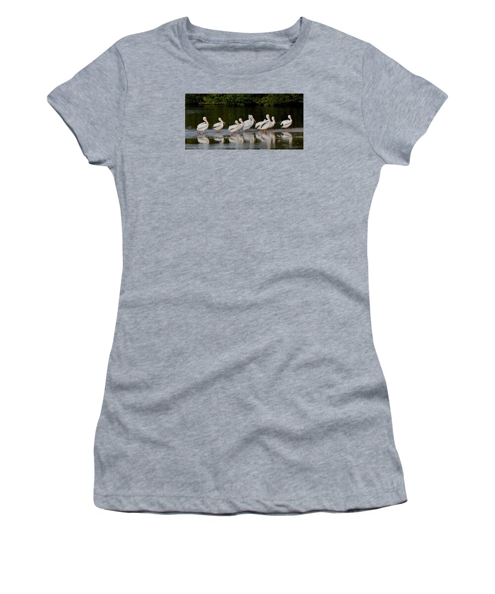 Pelican Women's T-Shirt featuring the photograph The Parade by Jim Bennight