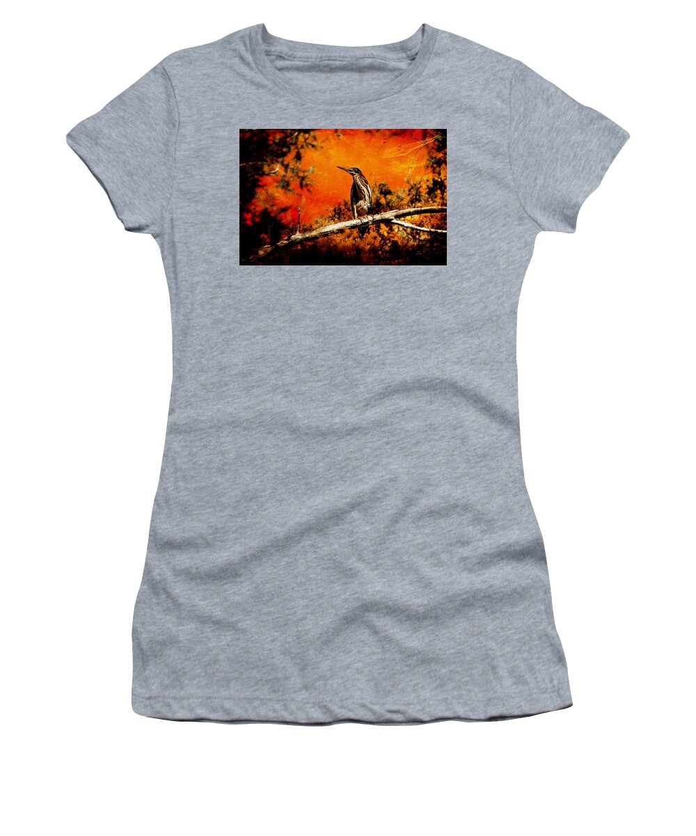  Women's T-Shirt featuring the photograph The Perch by Stoney Lawrentz
