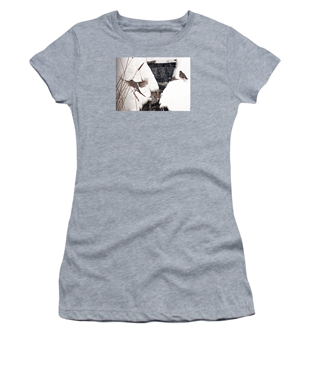 Wildlife Women's T-Shirt featuring the photograph The Robin Plunge by Trina Ansel