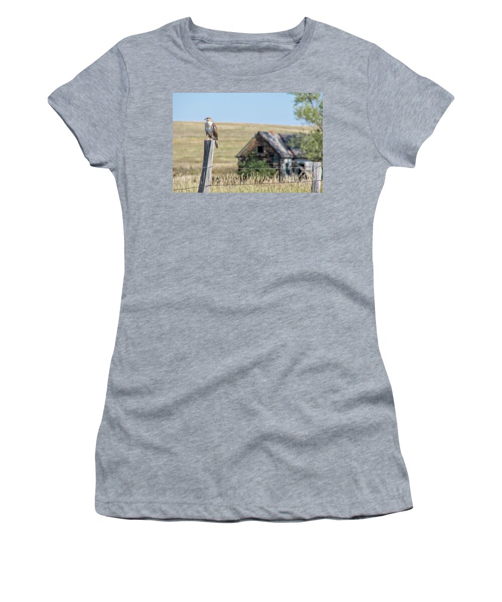Hawk Women's T-Shirt featuring the photograph The Sentinel by Fiskr Larsen