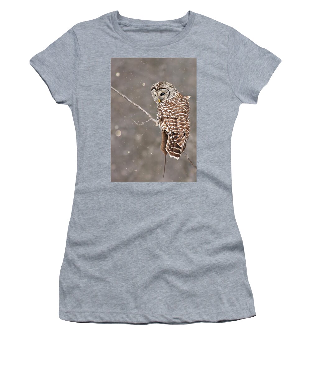 Owl Women's T-Shirt featuring the photograph The Silent Hunter by Mircea Costina Photography