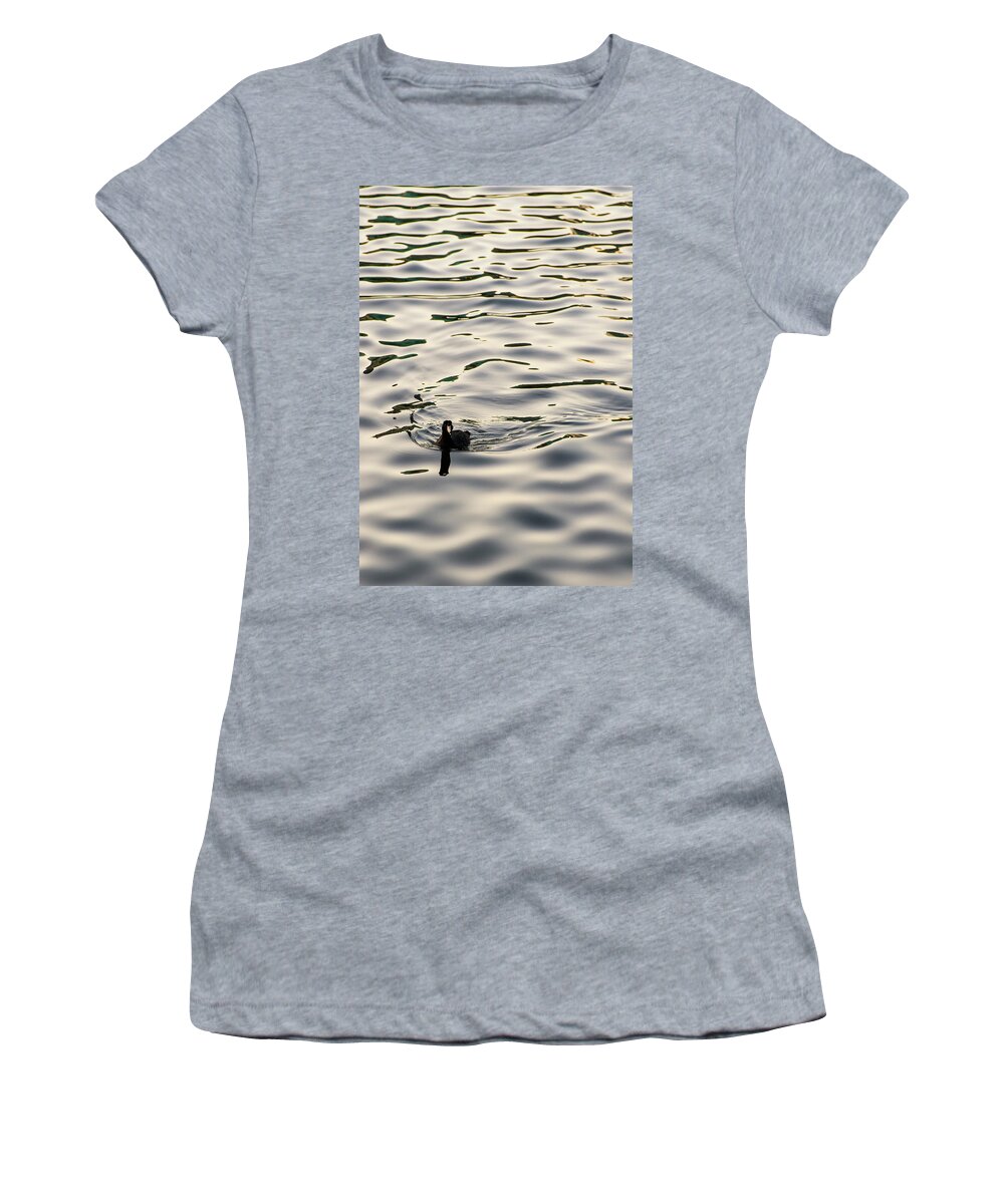 Coot Women's T-Shirt featuring the photograph The Simple Life by Alex Lapidus