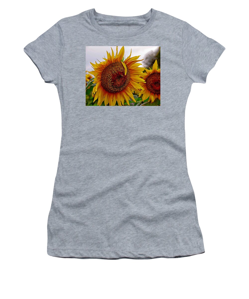 Gold Sunflower Women's T-Shirt featuring the photograph The Sunflower by Karen McKenzie McAdoo