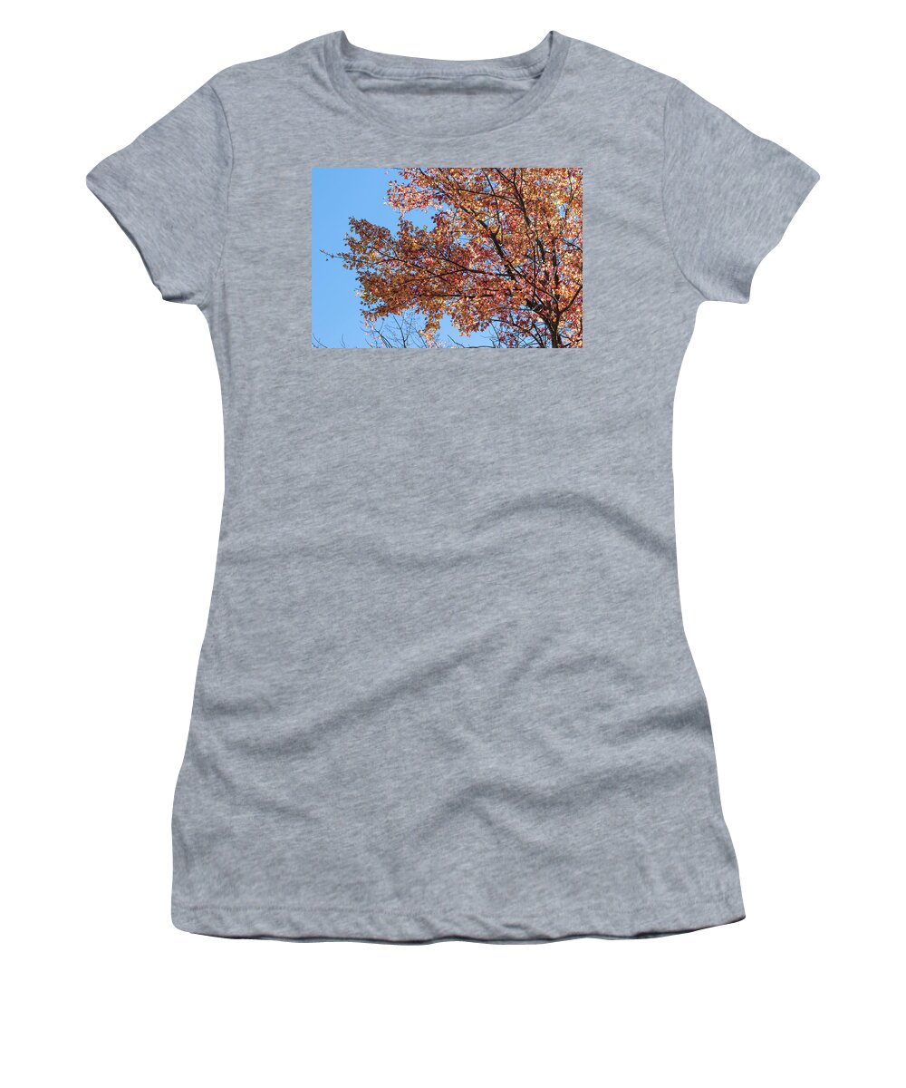 Tree Tops Women's T-Shirt featuring the photograph The Tree Tops 5 - by Julie Weber