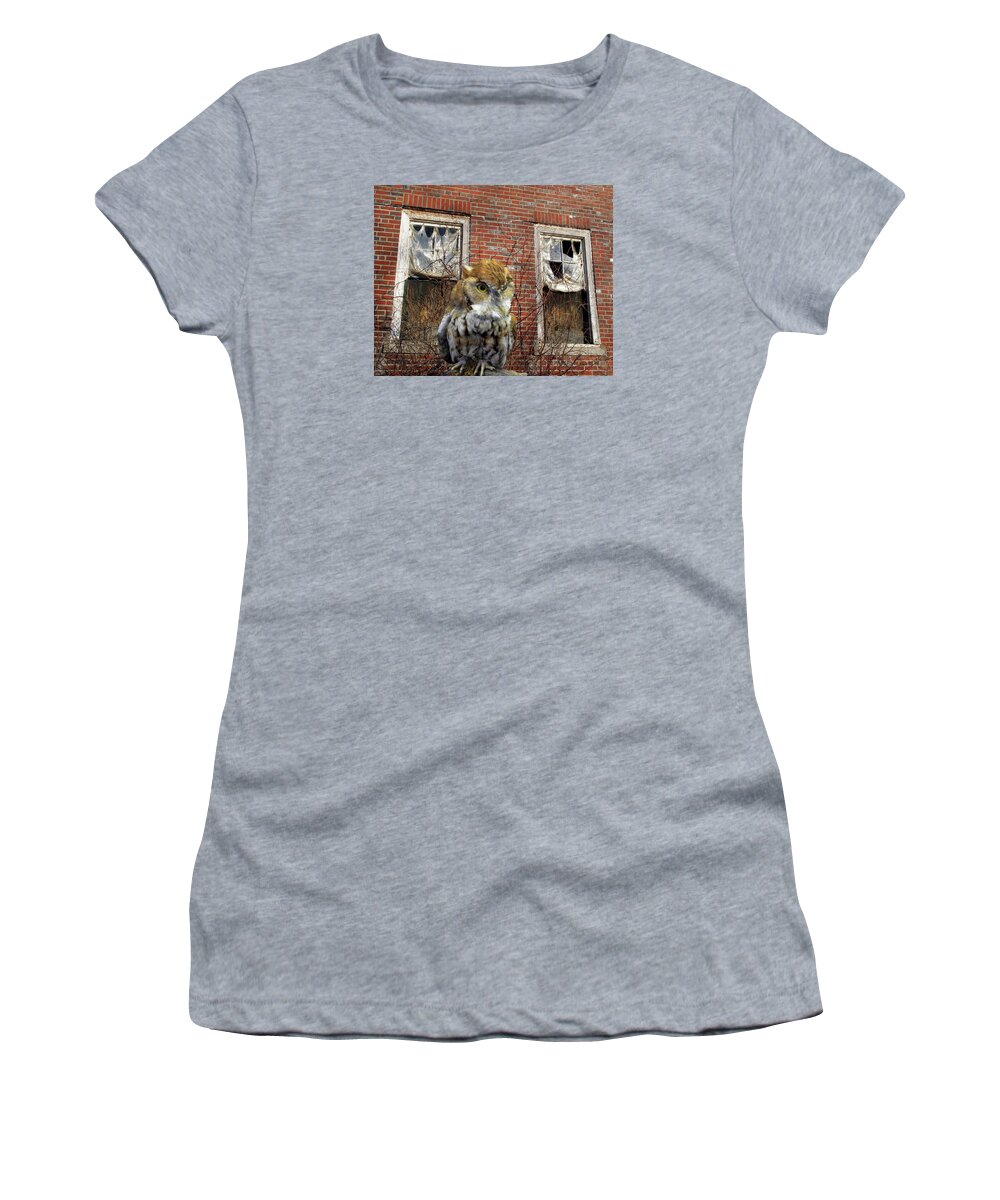 Owl Women's T-Shirt featuring the photograph The Watch by Lynda Lehmann