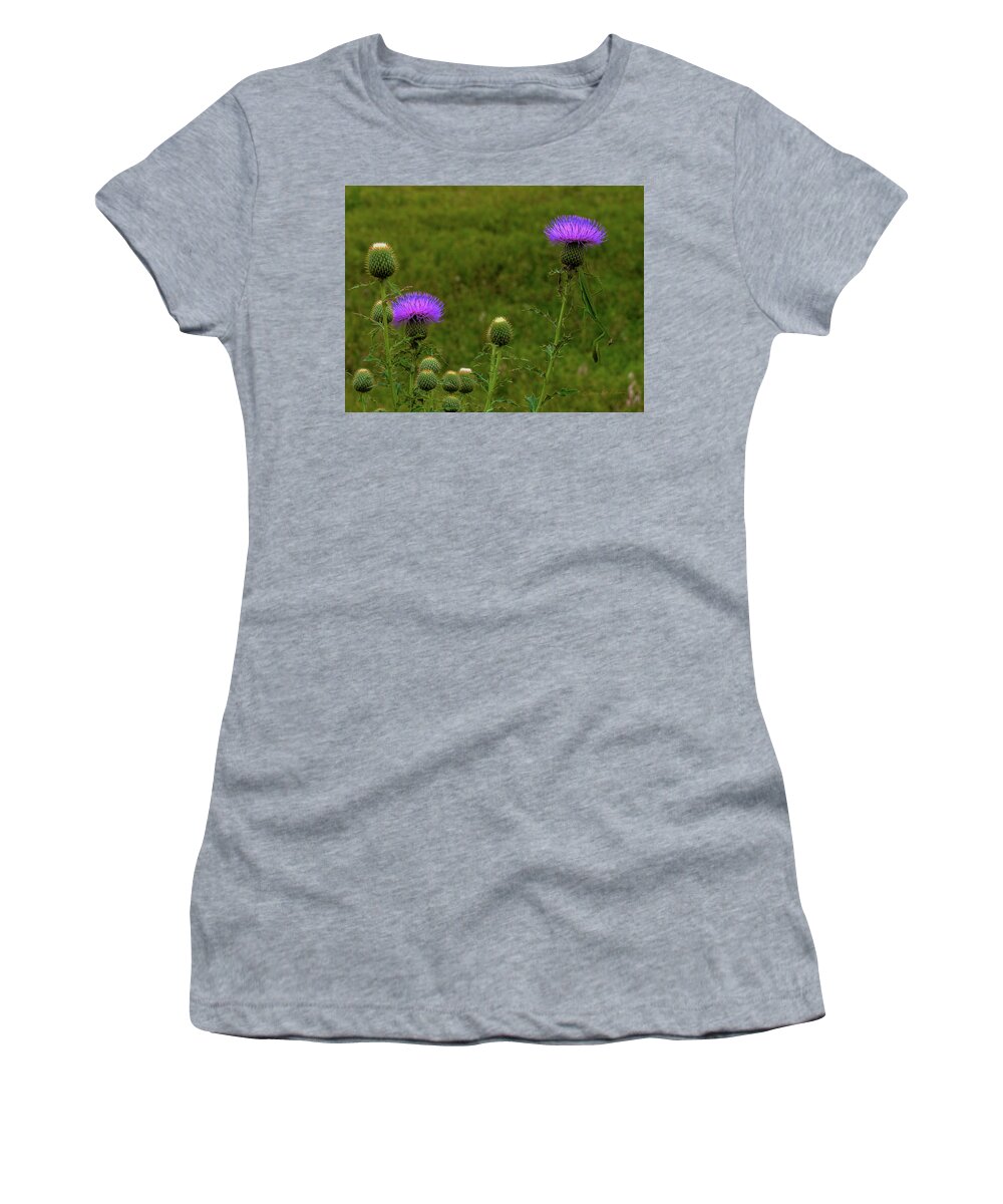 Standingbear Women's T-Shirt featuring the photograph Thistle Lights and Preying Mantis by Ed Peterson
