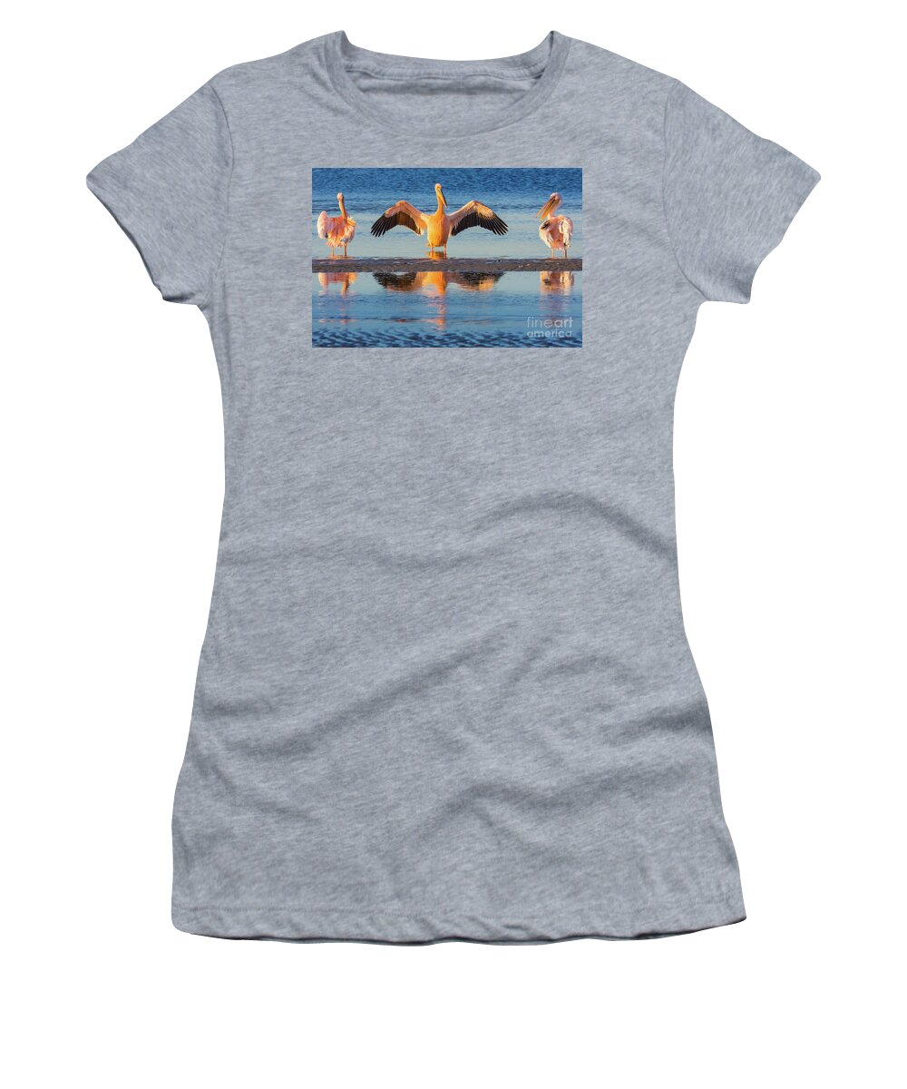 Africa Women's T-Shirt featuring the photograph Three Pelicans by Inge Johnsson