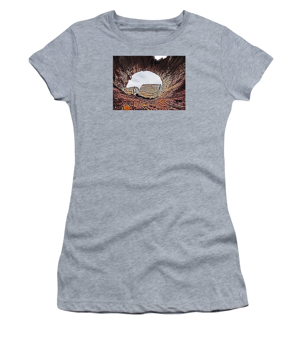  Women's T-Shirt featuring the photograph Through the Looking Log 2 by David Frederick