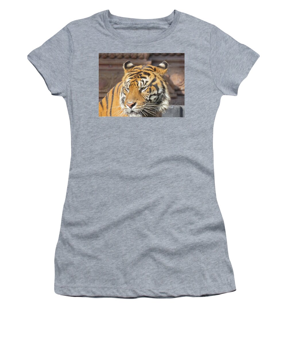 Tiger Women's T-Shirt featuring the photograph Tiger by Dart Humeston