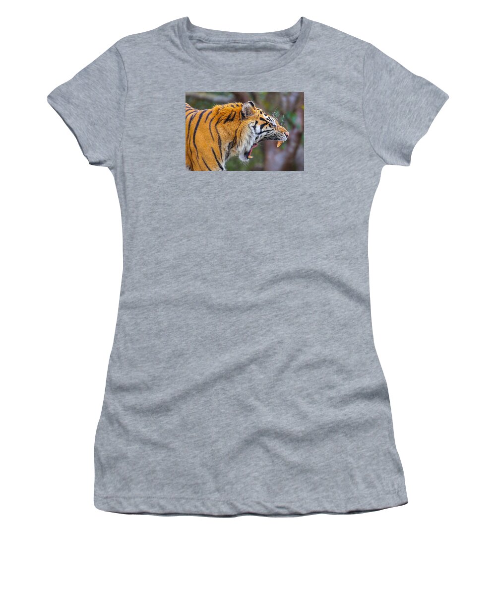 Tiger Women's T-Shirt featuring the photograph Tiger Yawn by Dart Humeston