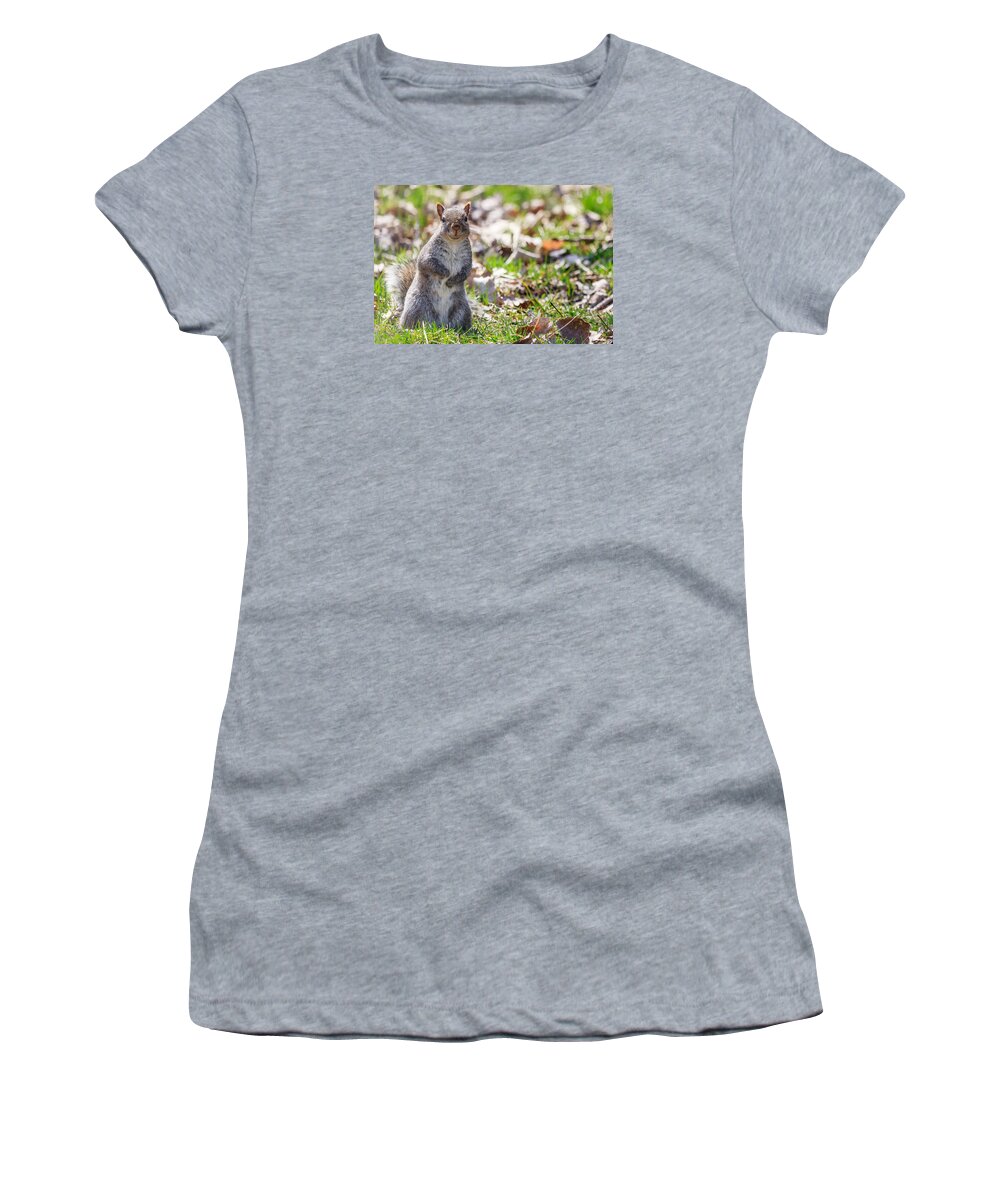 Animal Women's T-Shirt featuring the photograph Time for dinner? by Joni Eskridge