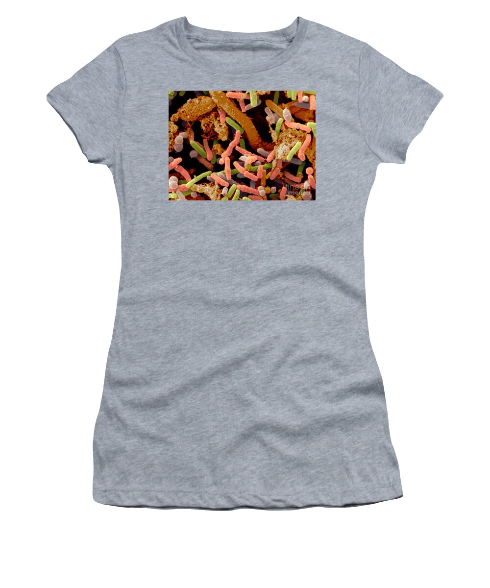 Bacteria Women's T-Shirt featuring the photograph Toddlers Feces With Bifidobacteria, Sem by Scimat