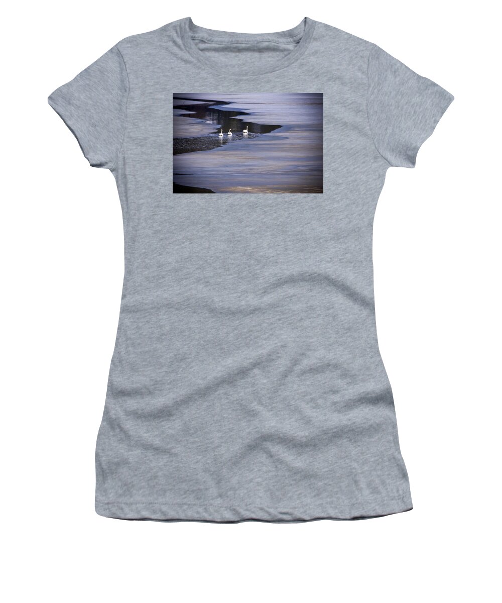 Tundra Swan Women's T-Shirt featuring the photograph Tourist Swans by Albert Seger