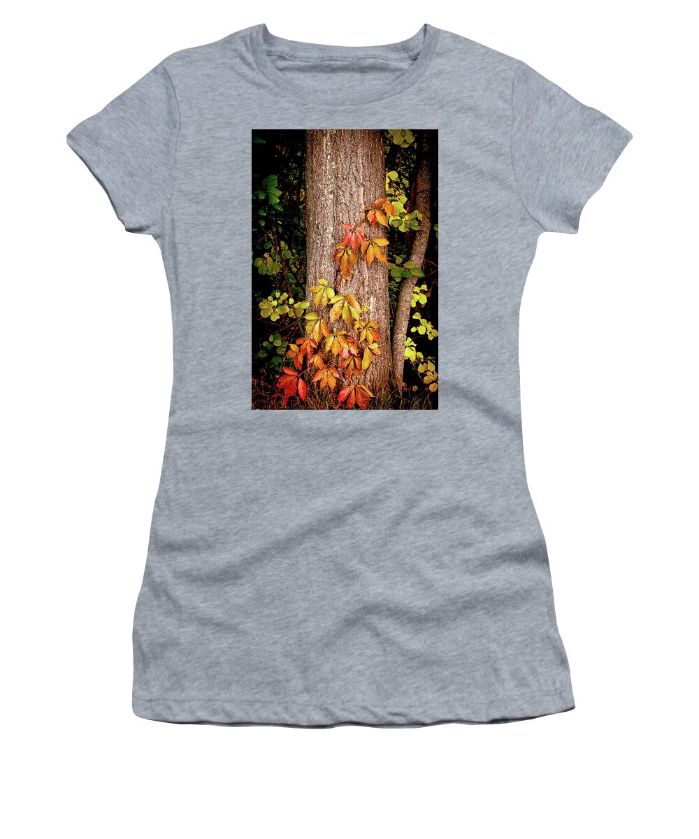 Tree Women's T-Shirt featuring the photograph Tree adornment by Camille Lopez