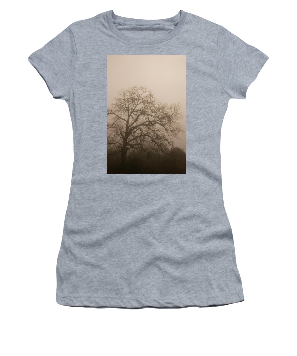 Bark Women's T-Shirt featuring the photograph Tree in Fog by Darryl Brooks