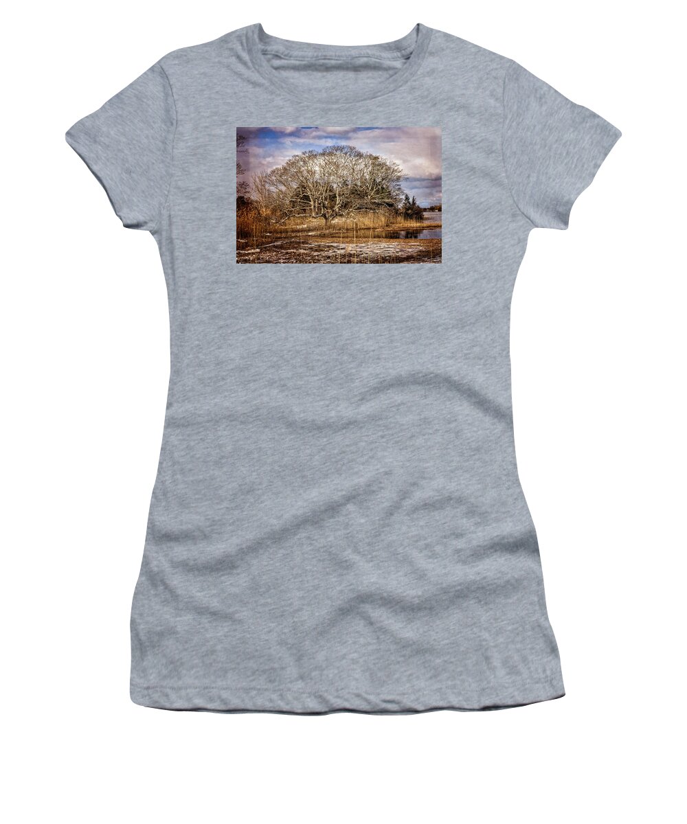 Marsh Women's T-Shirt featuring the photograph Tree in Marsh by Frank Winters