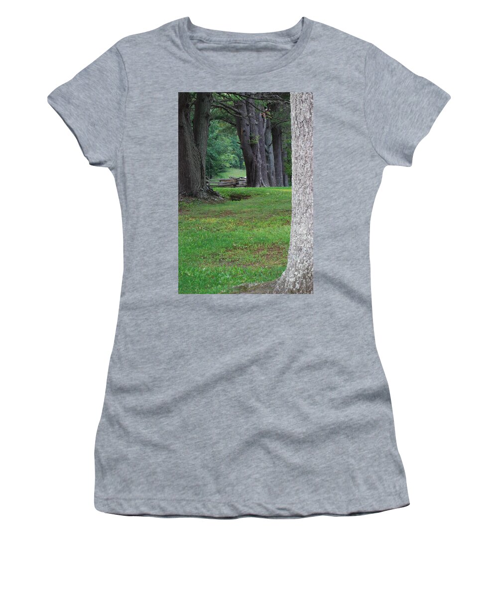 Trees Women's T-Shirt featuring the photograph Tree Line by Eric Liller