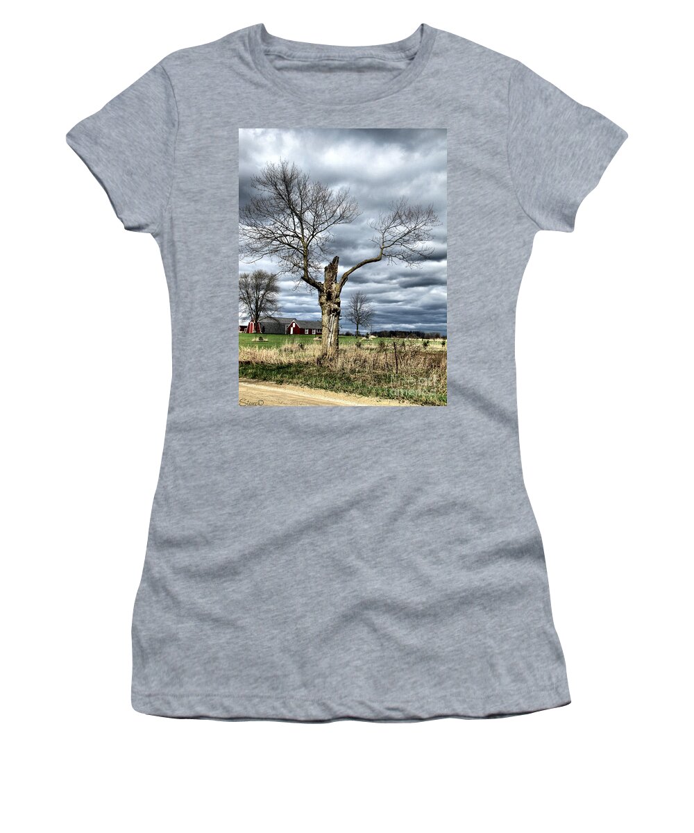 Tree Women's T-Shirt featuring the photograph Tree Man by September Stone