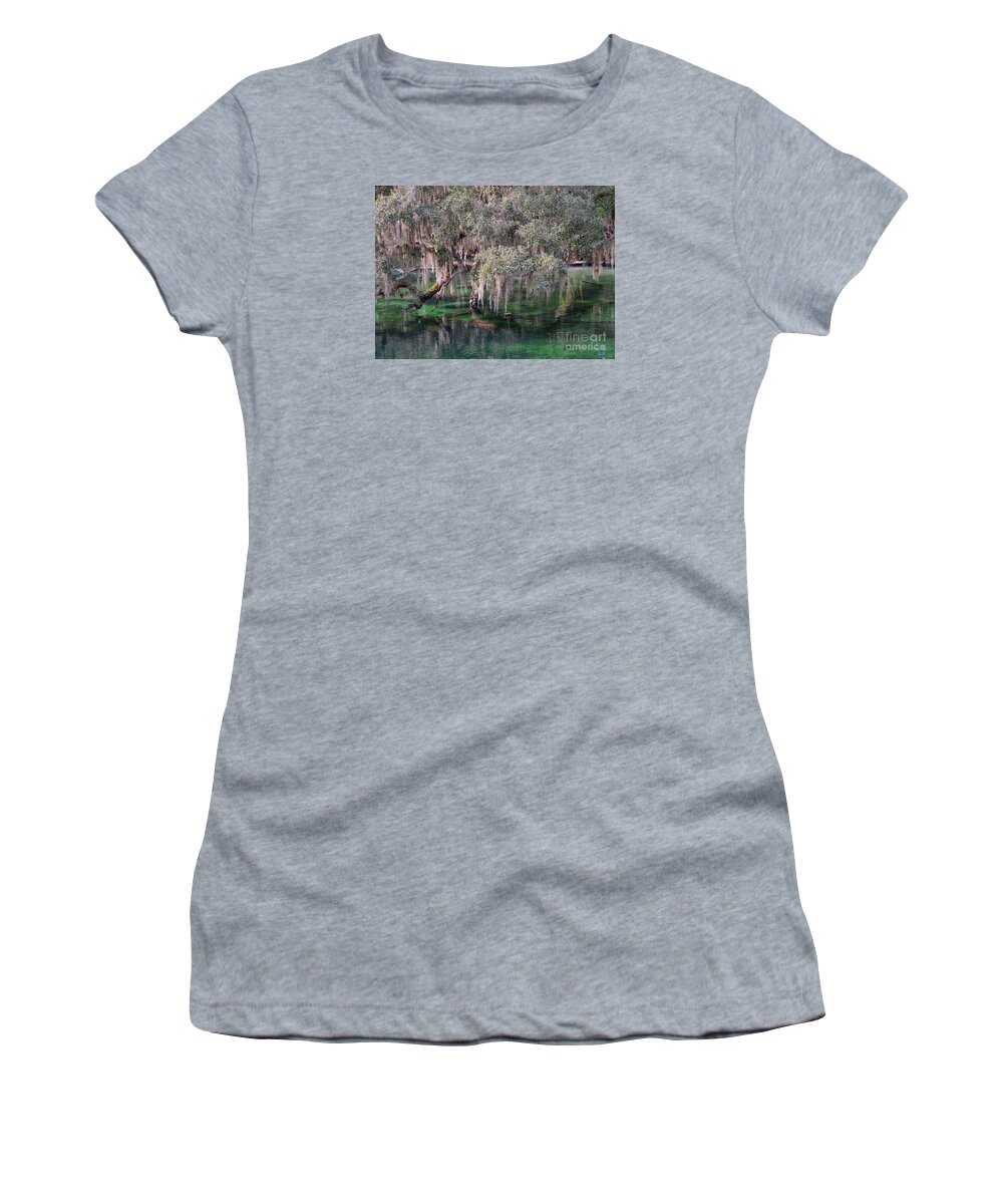 Trees Women's T-Shirt featuring the photograph Tree Sheltering a Manatee by Patricia Twardzik