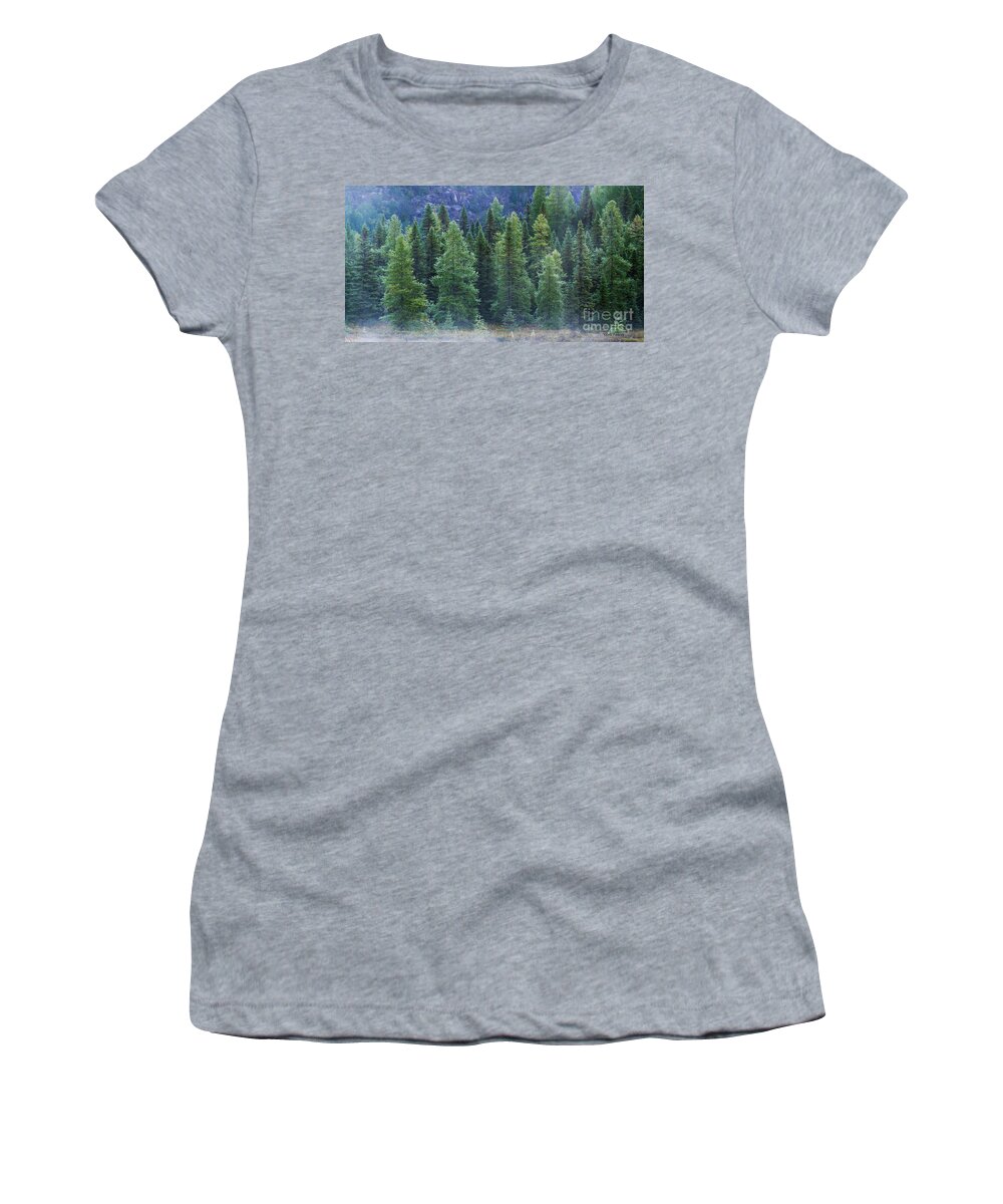 Trees Women's T-Shirt featuring the photograph Trees in the Mist by Jale Fancey