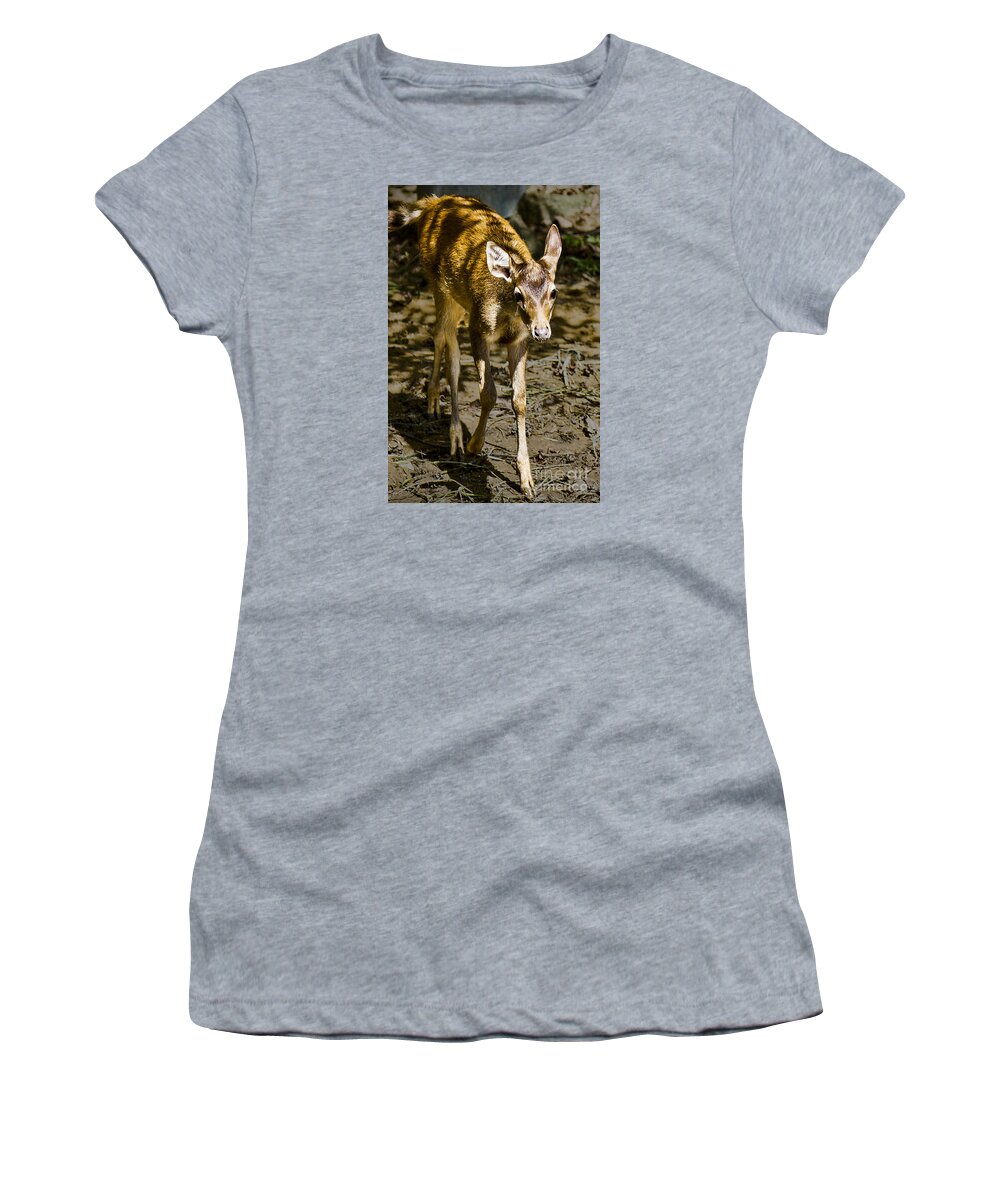 Animals Women's T-Shirt featuring the photograph Trepidation by Ray Shiu