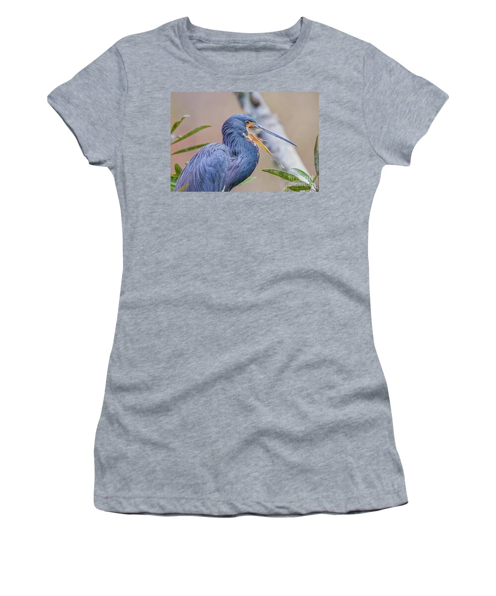 Nature Women's T-Shirt featuring the photograph Tricolored Heron Yawning UP CLOSE by DB Hayes