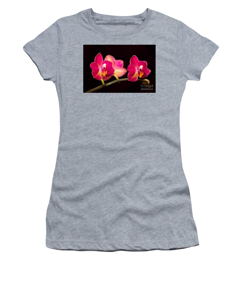 Orchid Women's T-Shirt featuring the photograph Trio of Pink Orchids by Elizabeth Dow