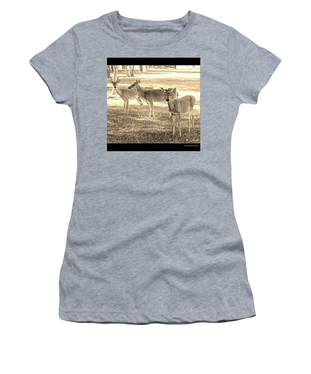 Animalsaddict Women's T-Shirt featuring the photograph #triple The #beauty In My #frontyard by Austin Tuxedo Cat