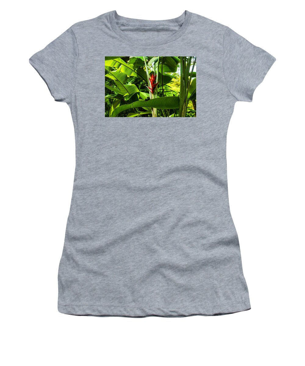 Floriculture Women's T-Shirt featuring the digital art Tropical Impressions - Red Ginger Flower Framed in Lush Jungle Green by Georgia Mizuleva