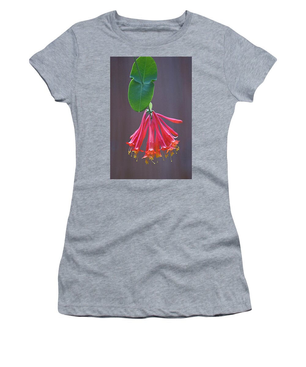 Flower Women's T-Shirt featuring the photograph Trumpet Honeysuckle by Jerry Griffin