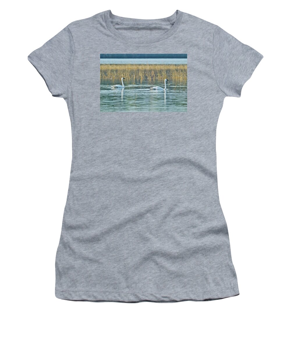 Swan Women's T-Shirt featuring the photograph Trumpeter swans9732 by Michael Peychich