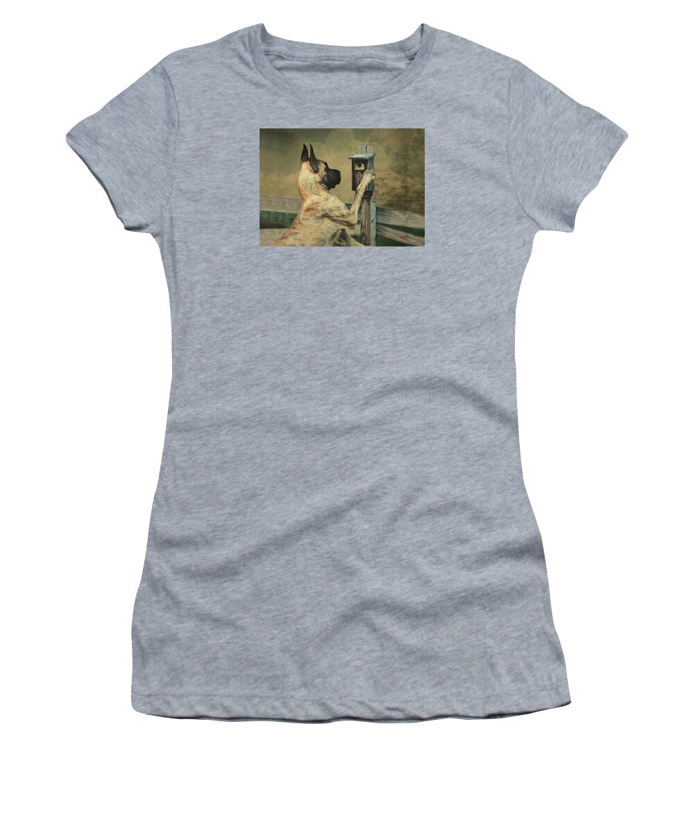Great Dane Women's T-Shirt featuring the photograph Tucker and the Birdhouse by Fran J Scott