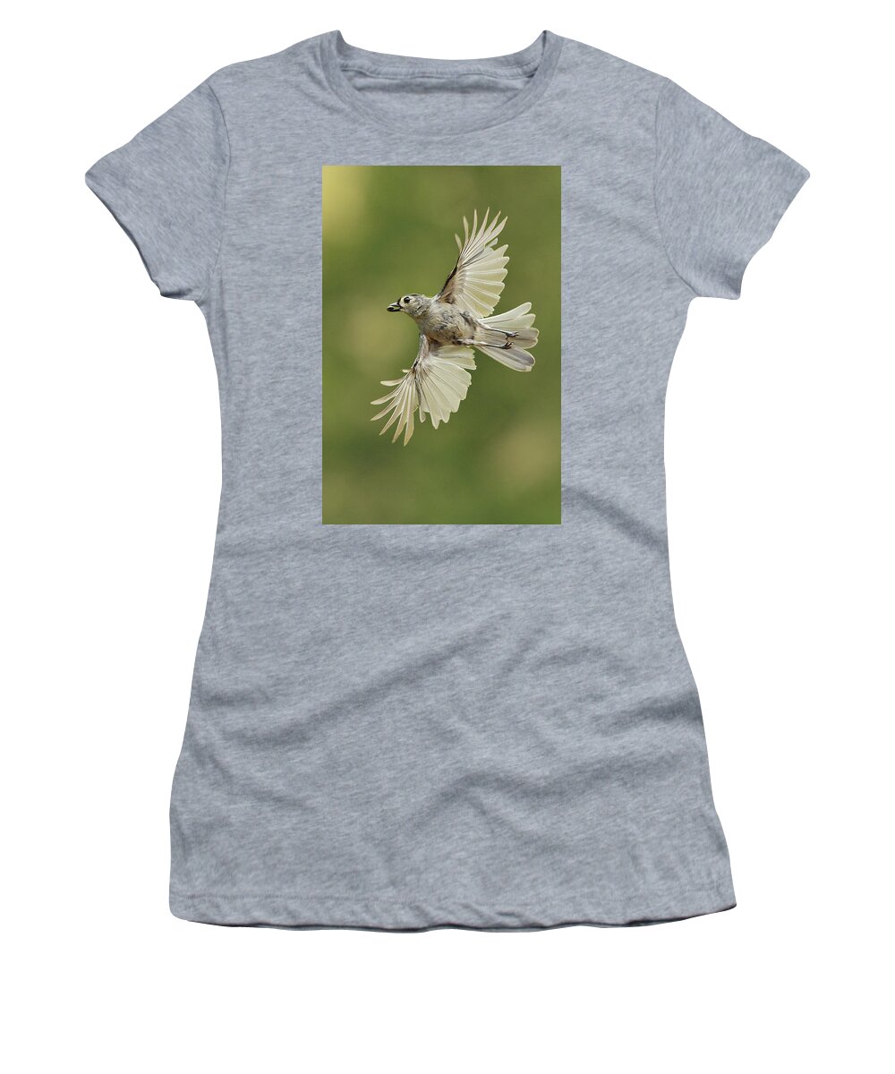 Bird Women's T-Shirt featuring the photograph Tufted Titmouse In Flight by Alan Lenk