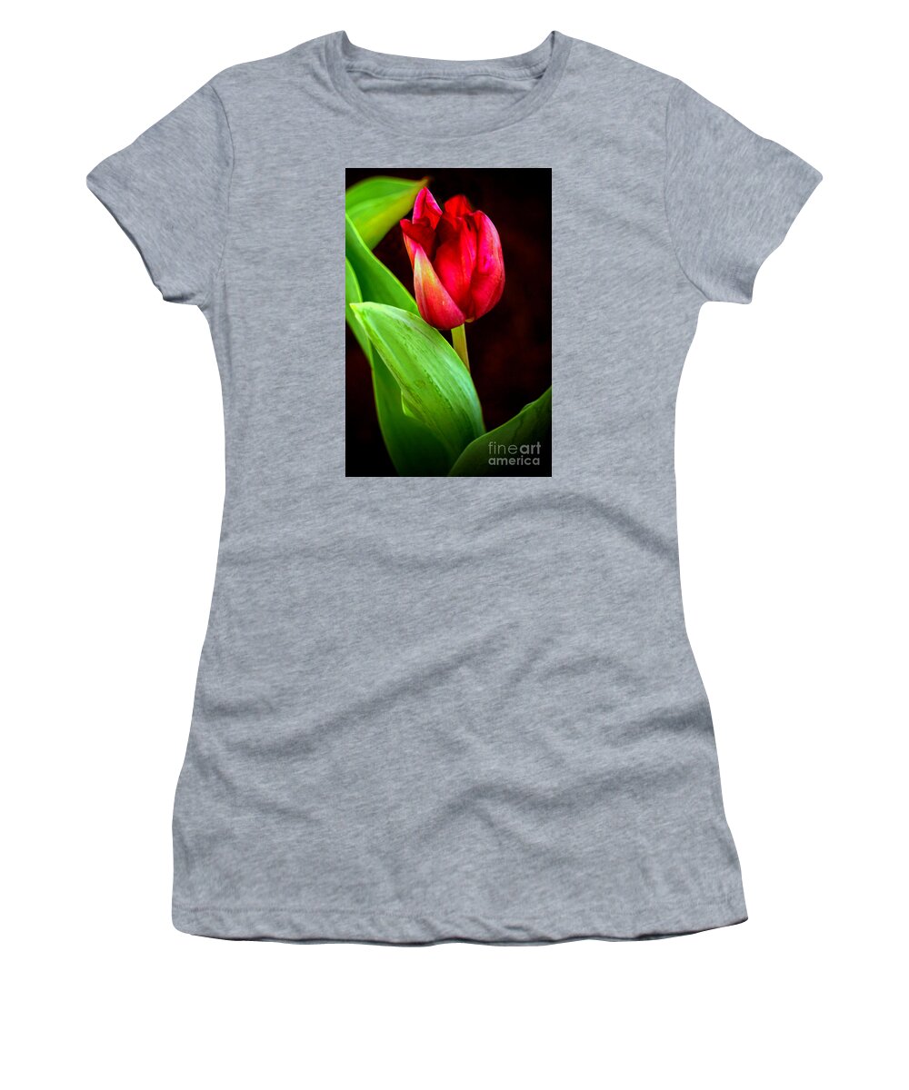 Tulip Women's T-Shirt featuring the digital art Tulip Caught in The Light by Ian Gledhill