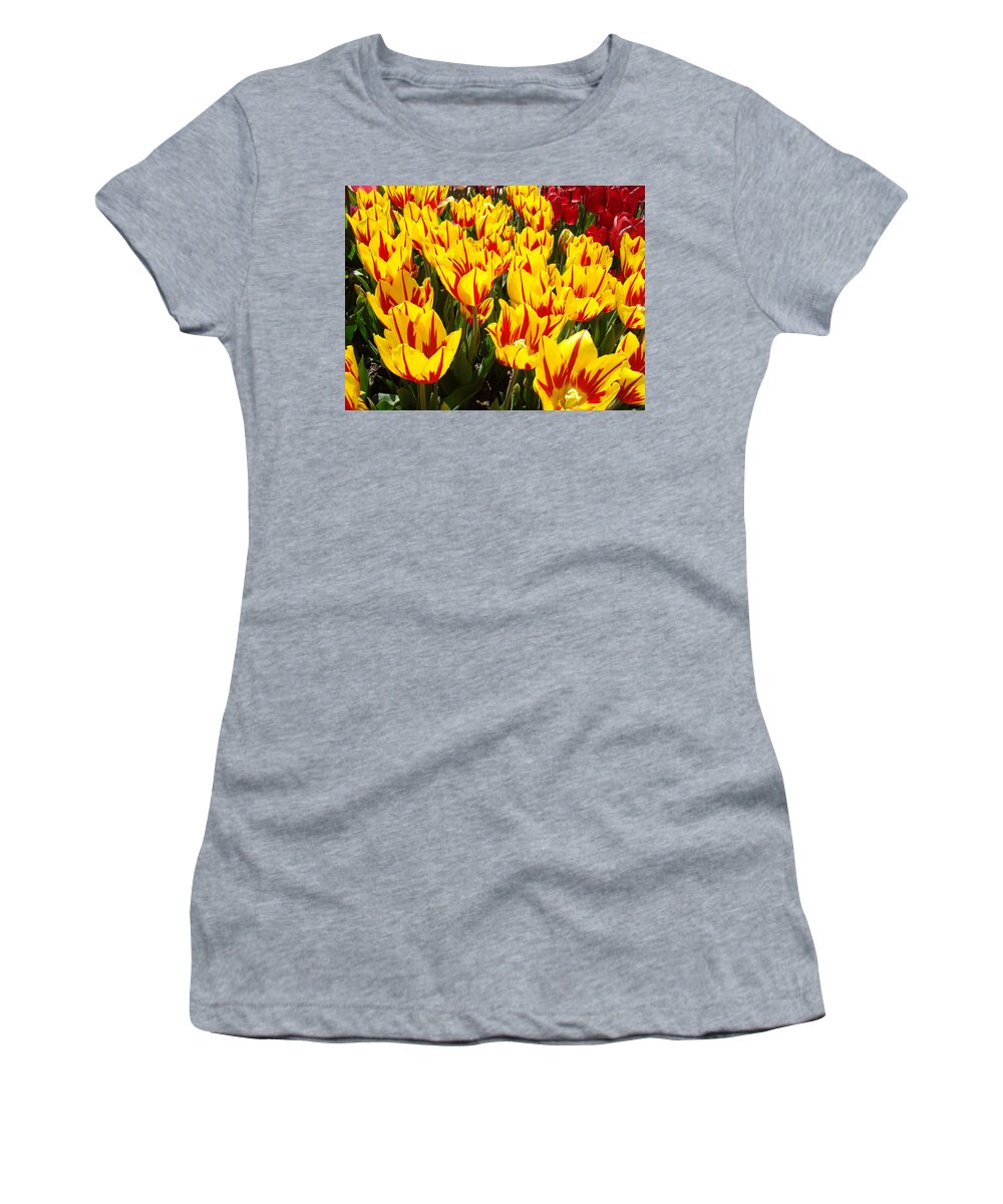 Tulip Women's T-Shirt featuring the photograph Tulip Flowers Festival Yellow Red art prints Tulips by Patti Baslee