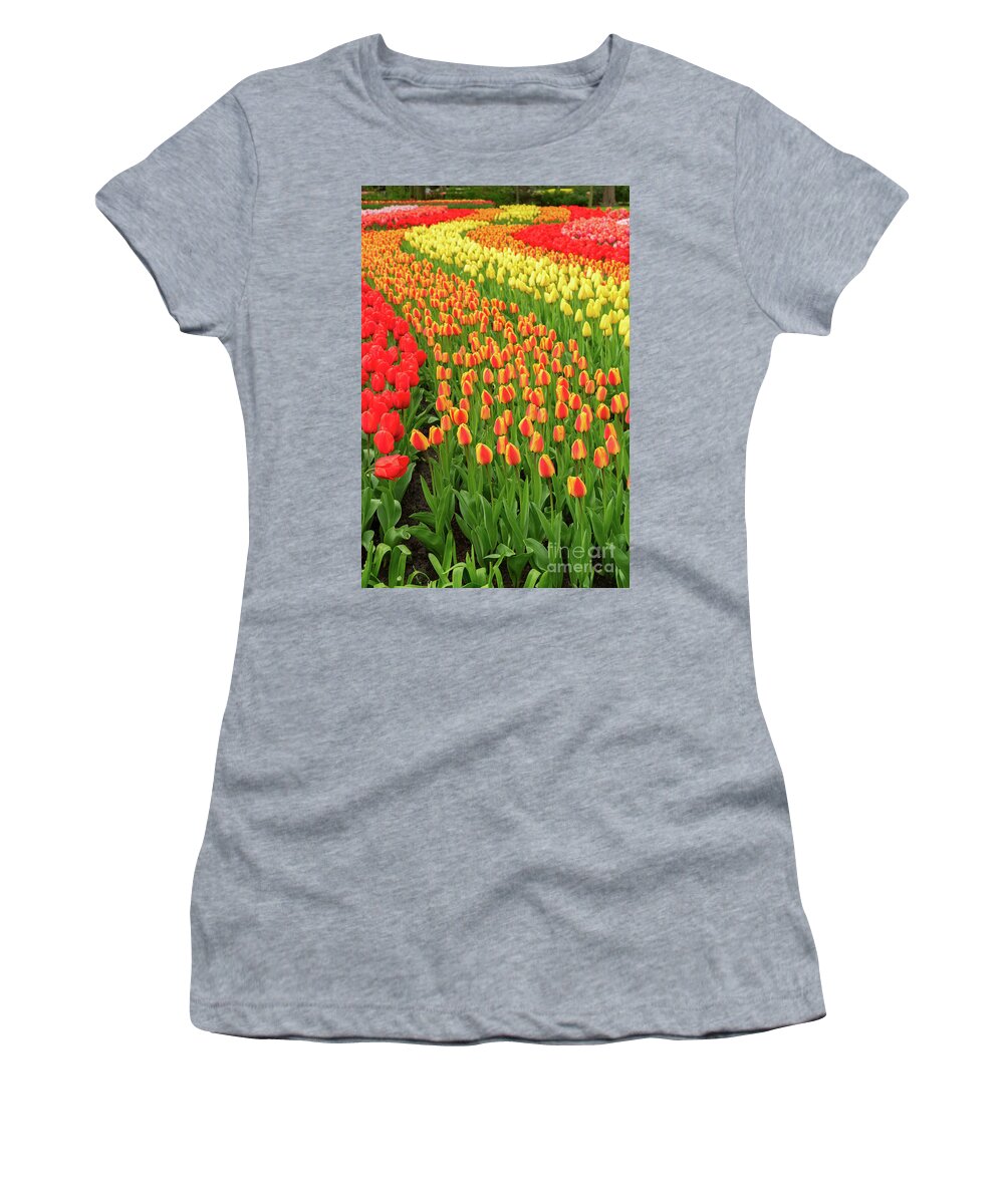 Netherlands Women's T-Shirt featuring the photograph Tulips Rows by Anastasy Yarmolovich