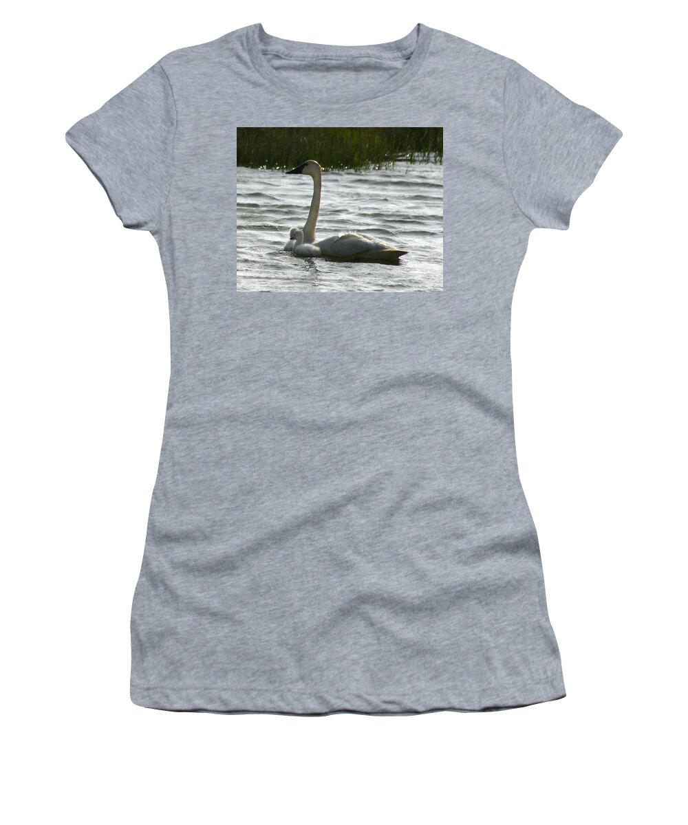 Swans Women's T-Shirt featuring the photograph Tundra Swan and Signets by Anthony Jones