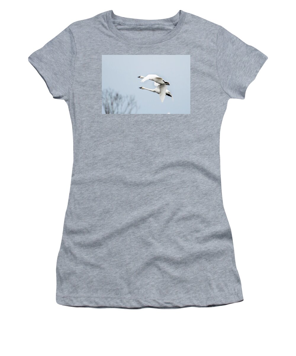 Nature Women's T-Shirt featuring the photograph Tundra Swan Lift-Off by Donald Brown