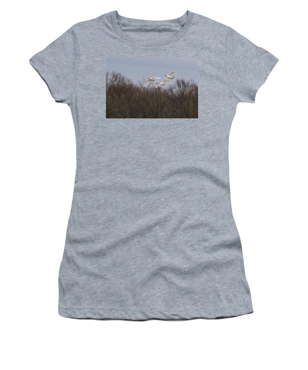 Nature Women's T-Shirt featuring the photograph Tundra Swan Trio by Donald Brown