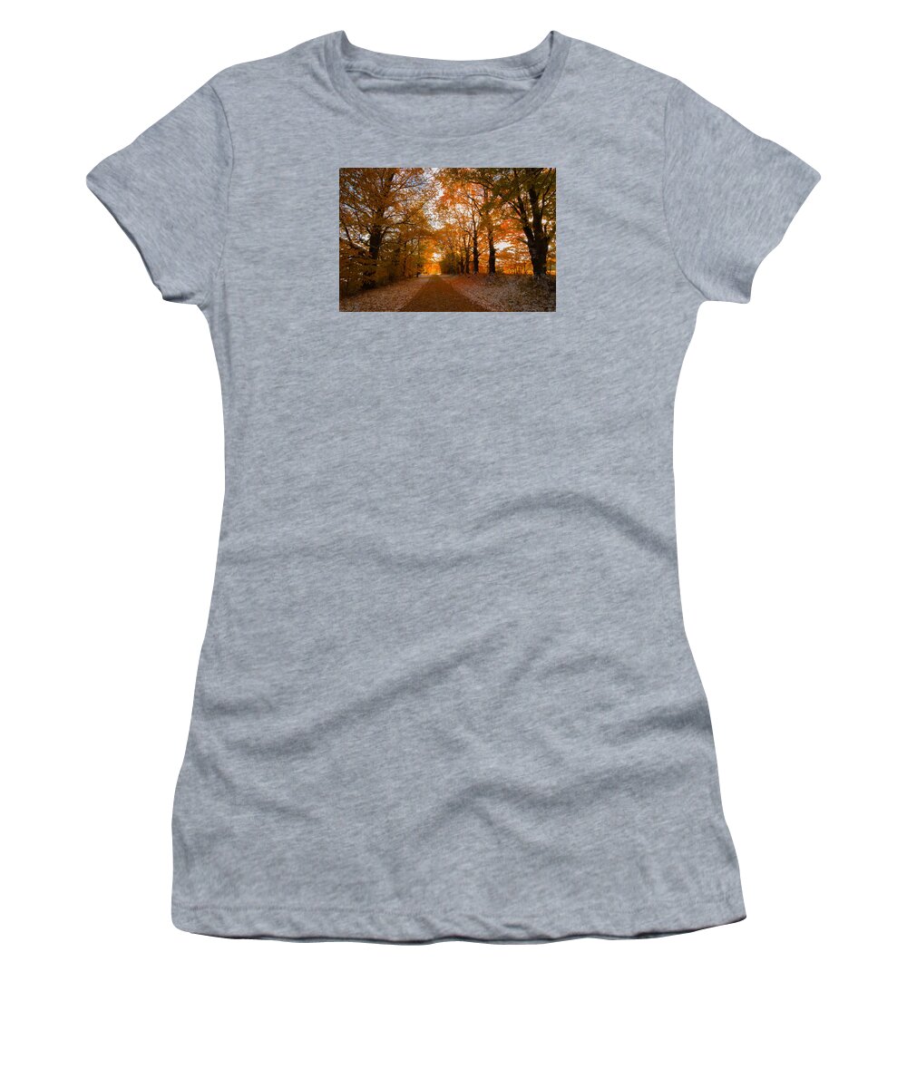 Trees Women's T-Shirt featuring the photograph Tunnel Through Morning Backlight by Tim Kirchoff