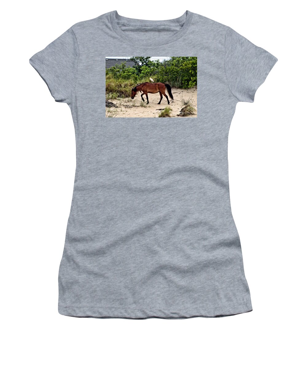 Horses Women's T-Shirt featuring the photograph Turn Right at the Next Bush by Edward Sobuta