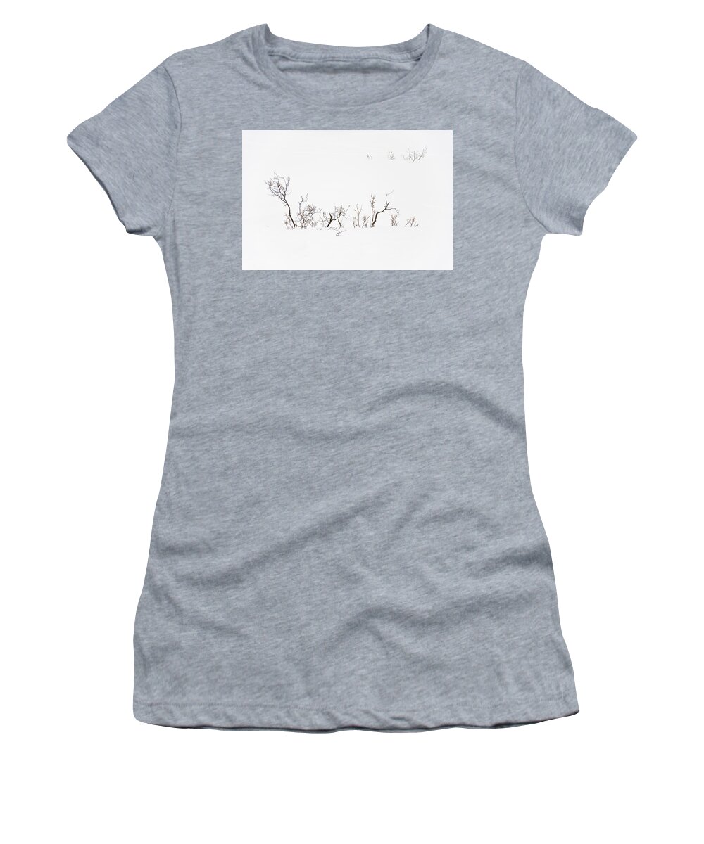 Twigs Women's T-Shirt featuring the photograph Twigs in Snow by Bryan Carter