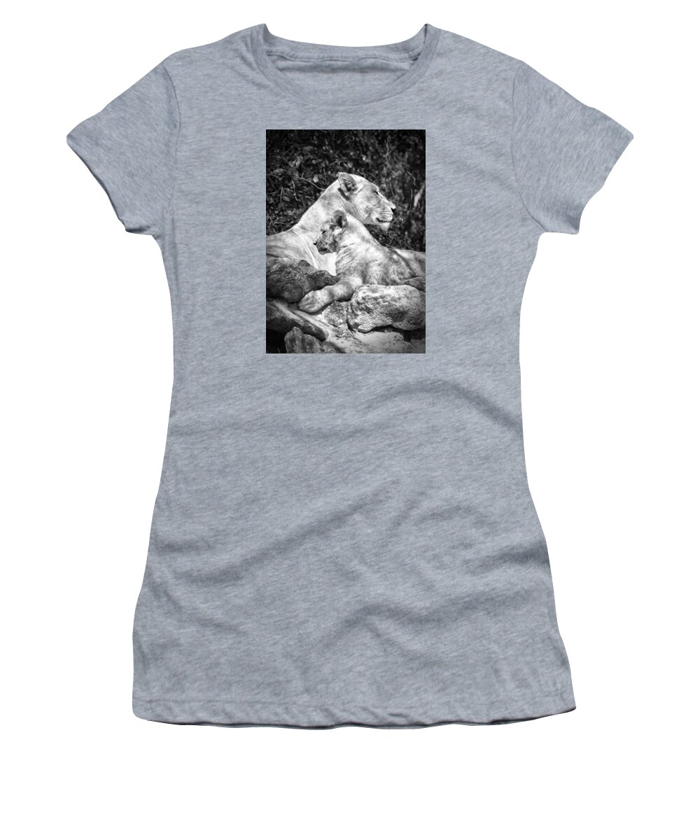 Crystal Yingling Women's T-Shirt featuring the photograph Twin Sphinx by Ghostwinds Photography