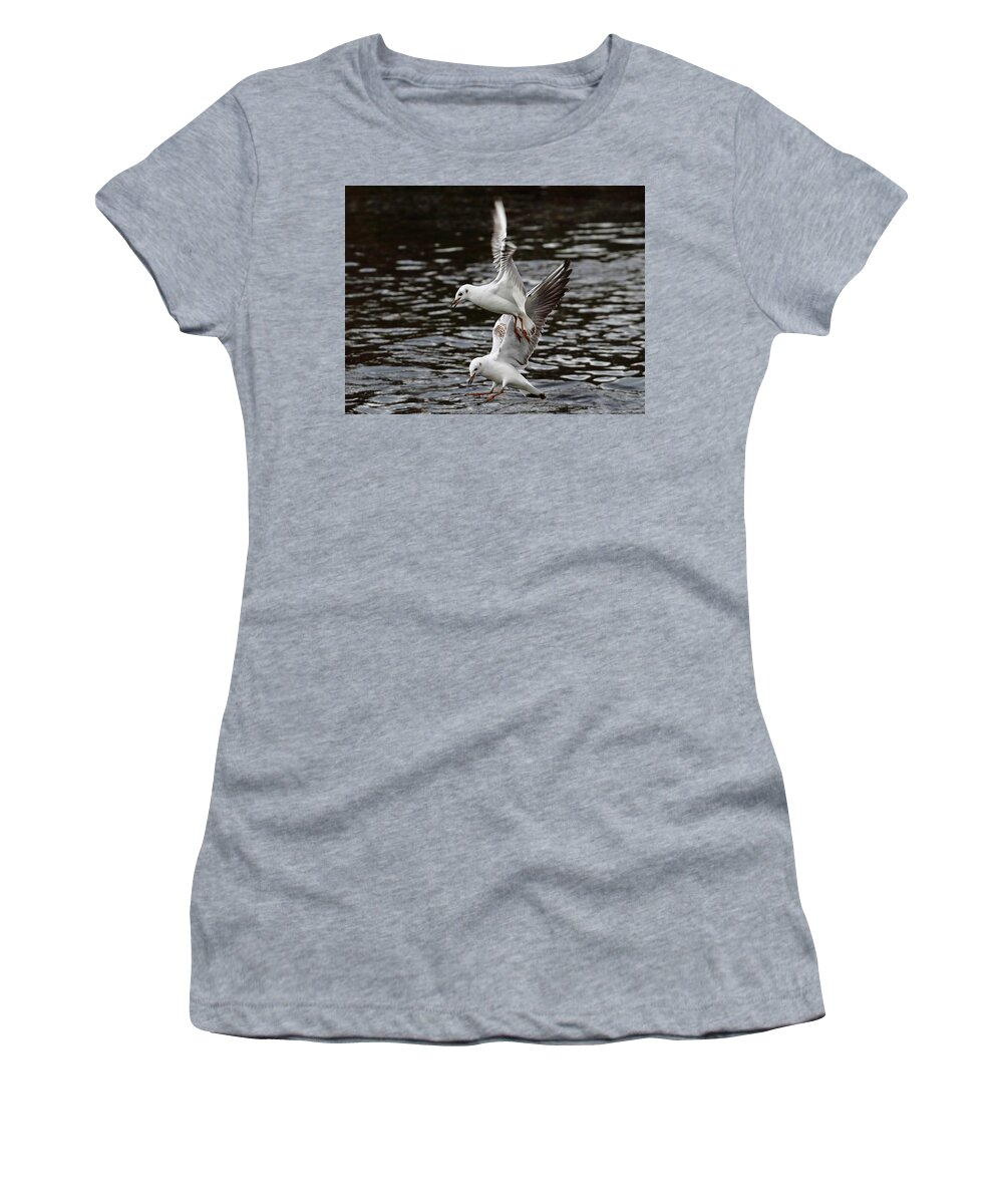 Birds Women's T-Shirt featuring the photograph Two Black Headed Gulls by Jeff Townsend